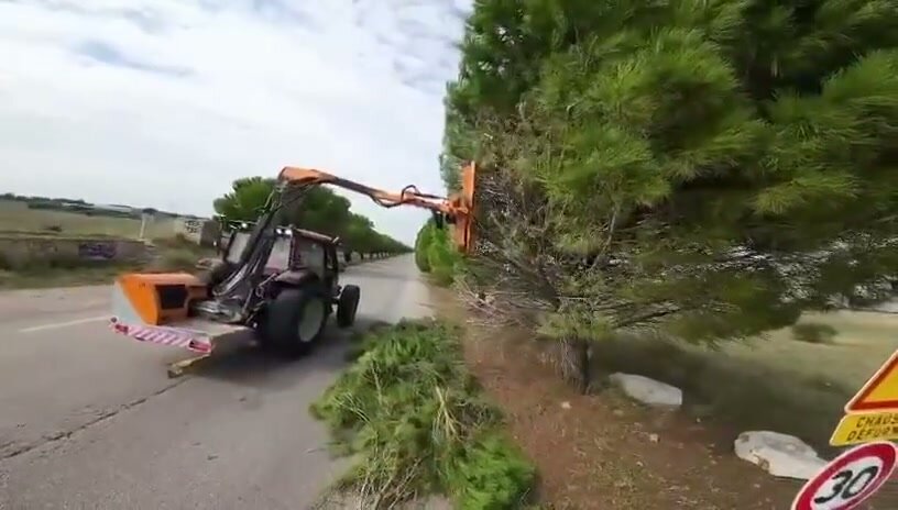 Le bras de l'épareuse taille un pin au bord de la route